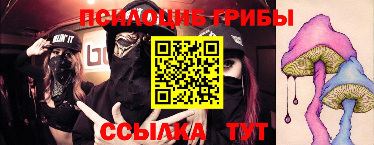 Псилоцибиновые грибы Cubensis Барабинск